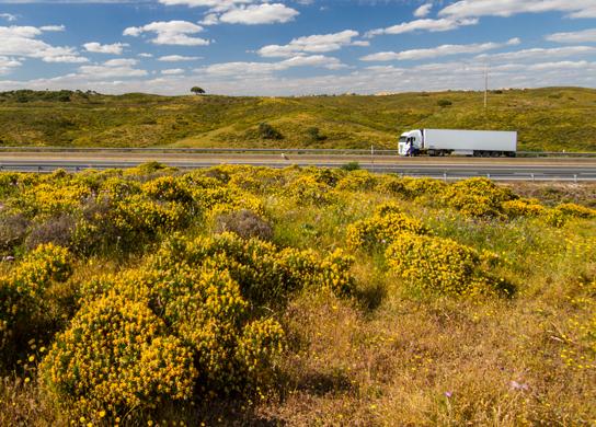 Spring’s in the Air – Make Your Truck Road Ready