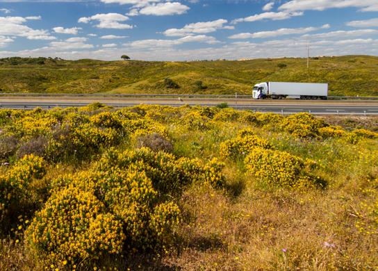 Spring’s in the Air – Make Your Truck Road Ready Spring’s in the Air – Make Your Truck Road Ready