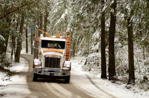 Holidays As A Truck Driver Holidays As A Truck Driver