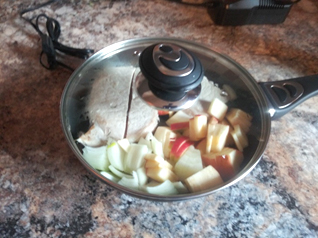 Cooking on the go with RoadPro 12-Volt Frying Pan