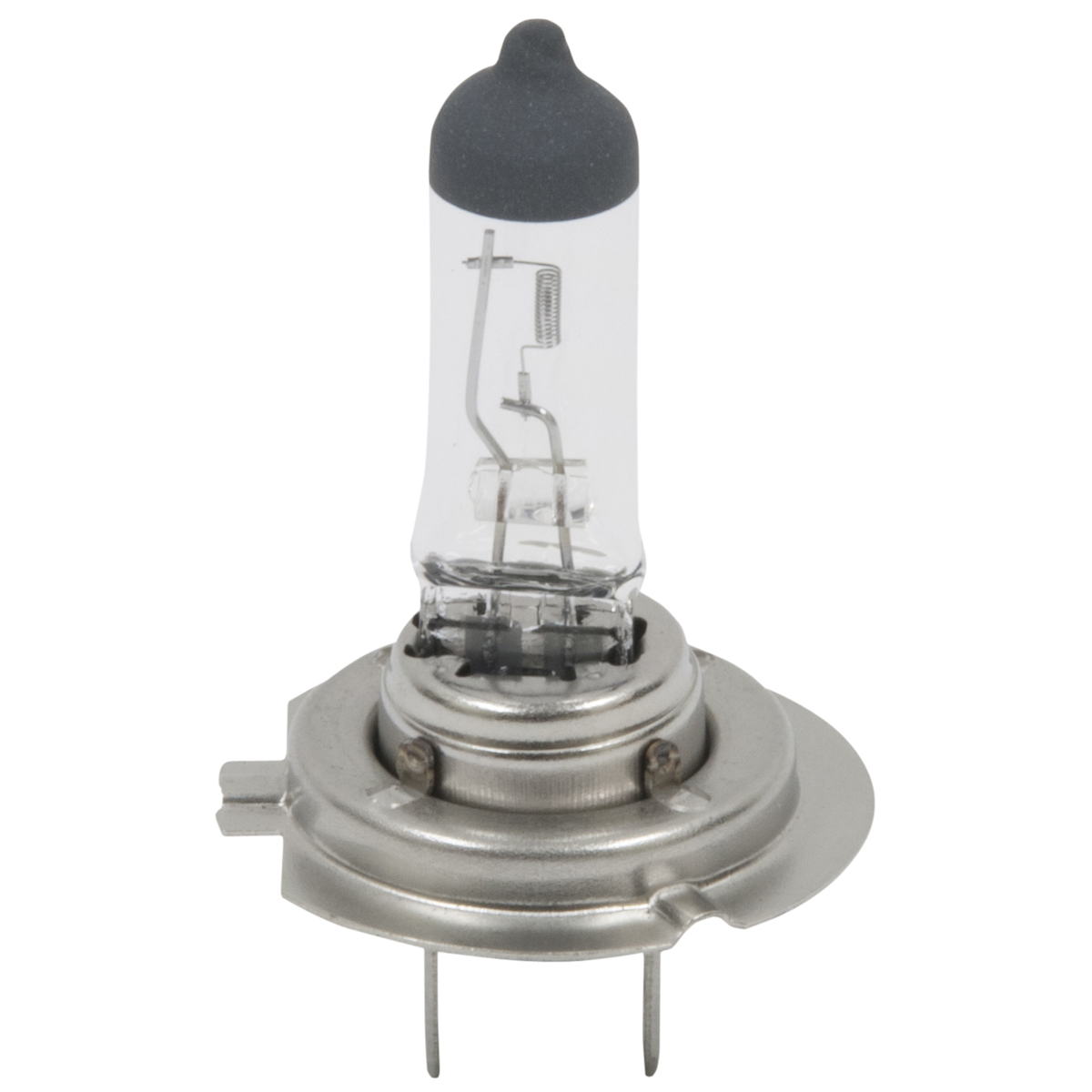 h7 halogen bulb